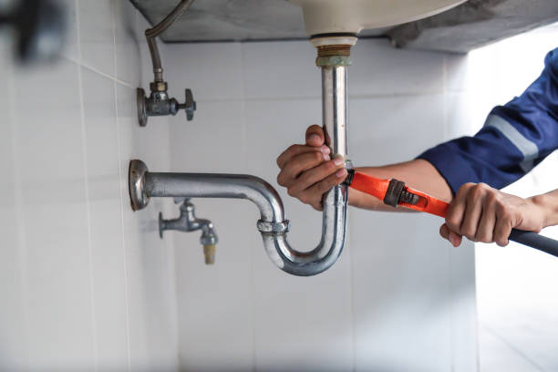Best Clogged Drain Plumber  in Upland, IN